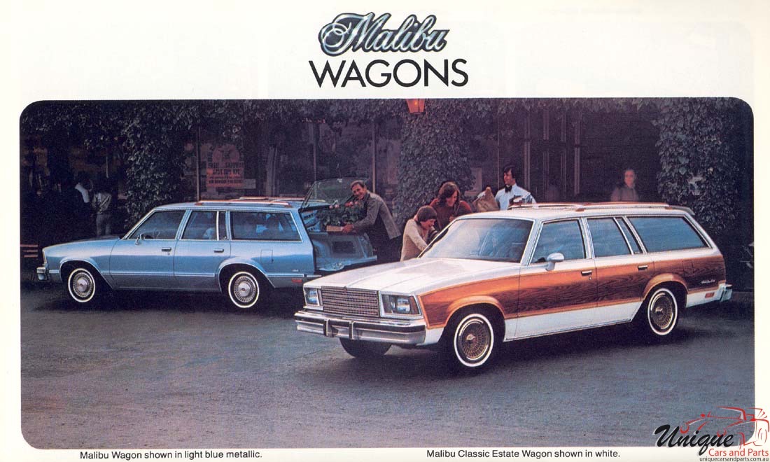 1979 Chevrolet Malibu Brochure Page 17